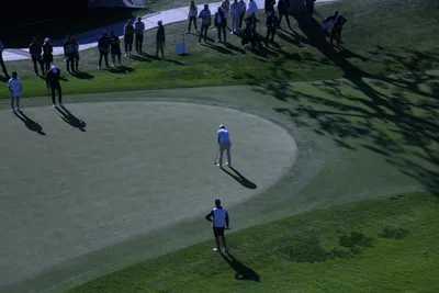 DSC_0726 (Large).JPG